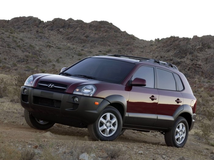 Hyundai Tucson 1 поколение