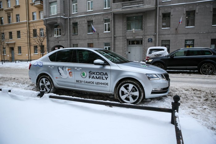 Skoda Family