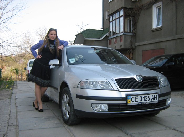 Skoda семейная