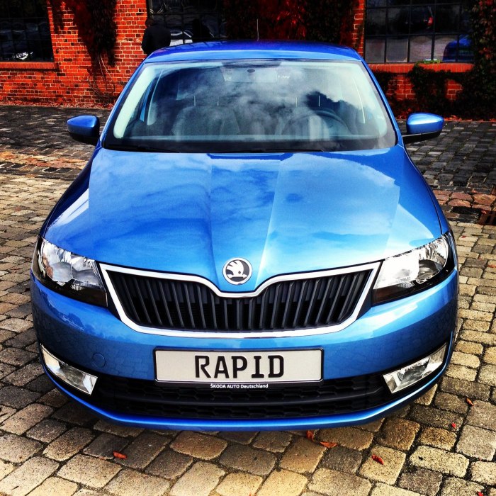 Skoda Rapid 2015 синий