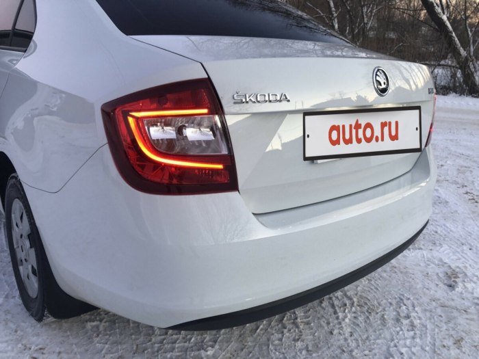 Светодиодные фонари Шкода Рапид