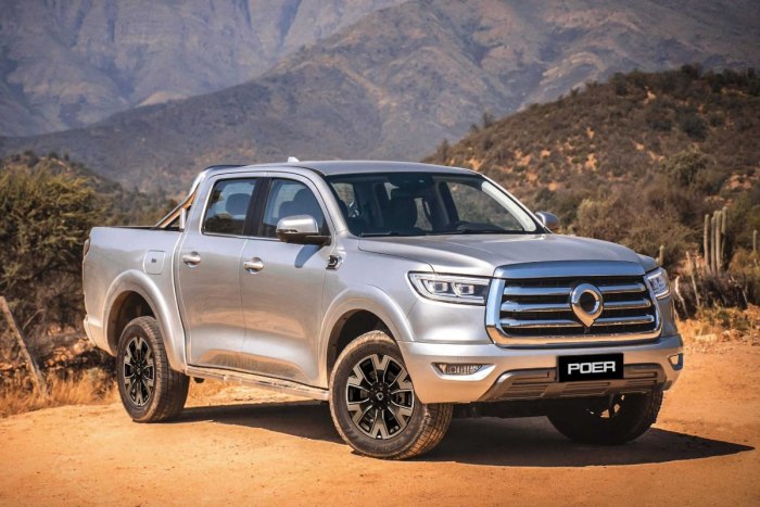 Haval Poer 2022
