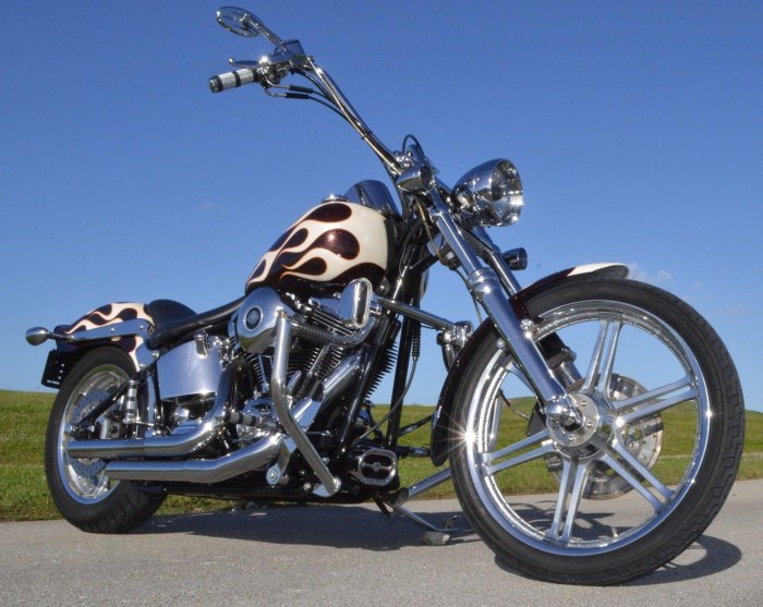 Harley Davidson Softail Custom 2003