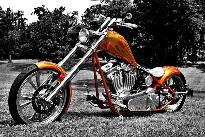 Мотоцикл Harley Davidson Chopper