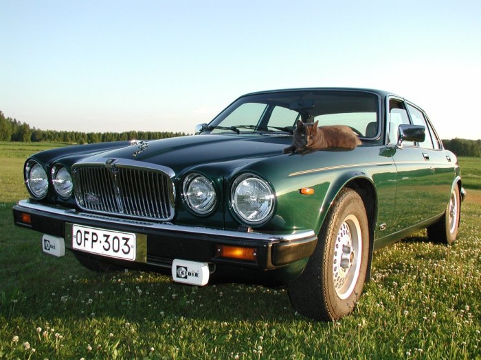 Jaguar xj6 Series III