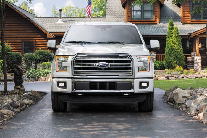 2017 Ford f150 Grill