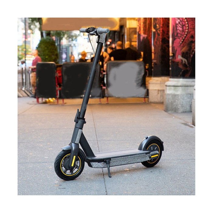 KICKSCOOTER Max g30