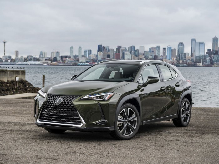 Lexus UX 200 2019