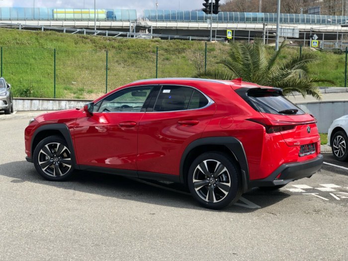 Lexus UX 200 2019