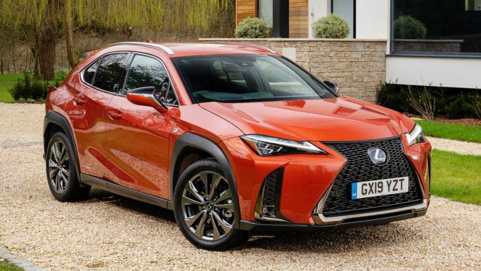 Lexus UX 250h