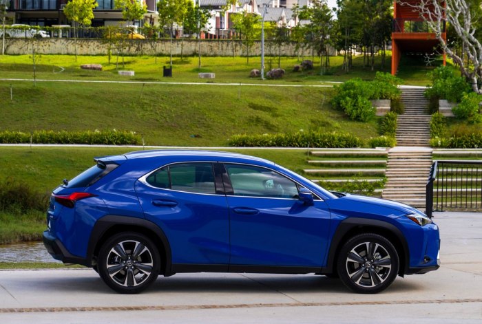 Lexus UX 200