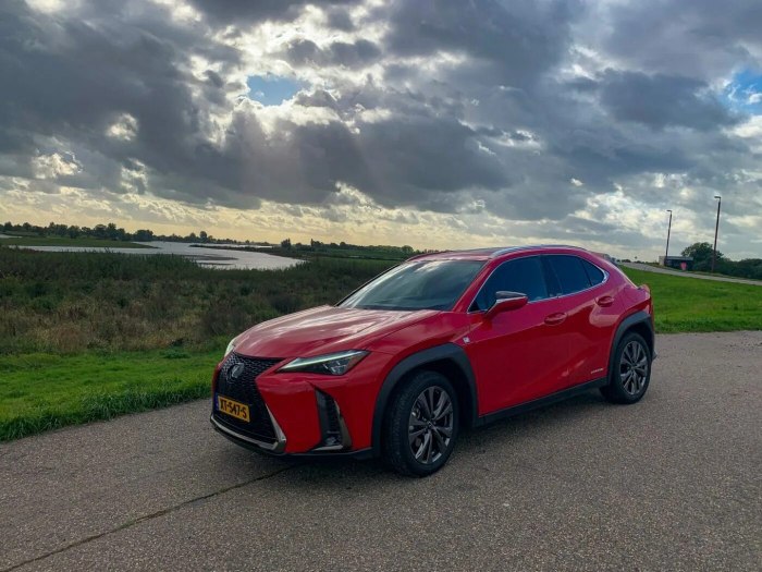 Lexus ux250h f Sport