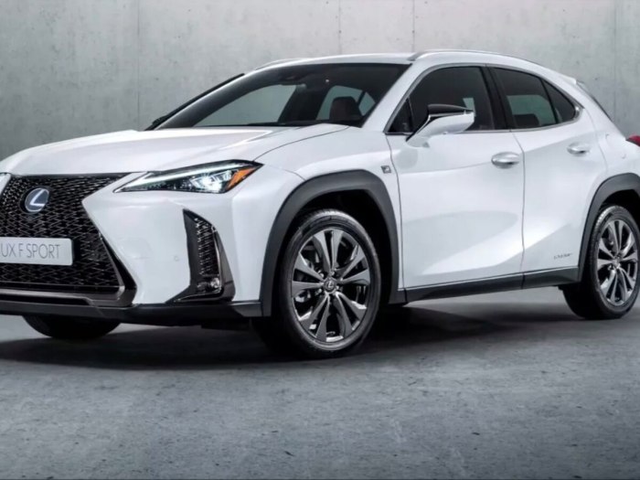 Lexus UX 250h