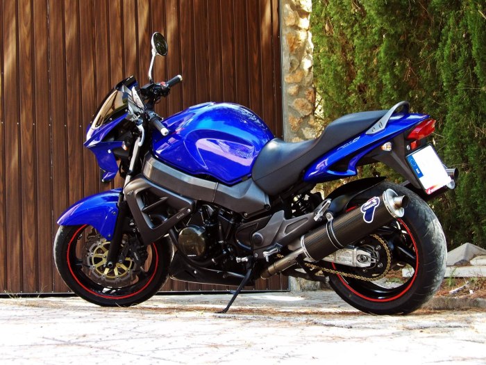 Honda x11 Custom
