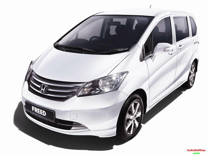 Honda freed Spike 2010