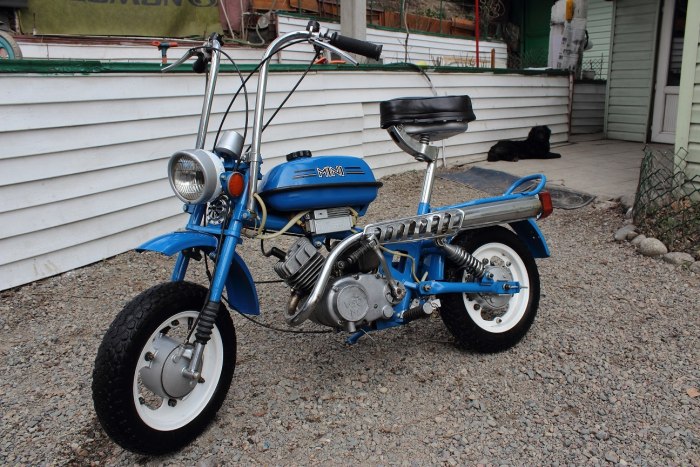 Рига-26 Рига-Mini