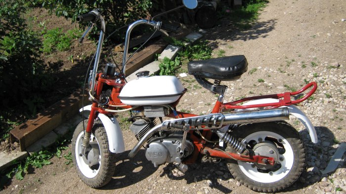 Мокик Рига 26