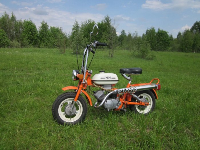 Mini Mokik мопед