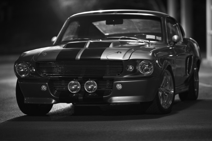Форд Мустанг Шелби gt500 Элеонор