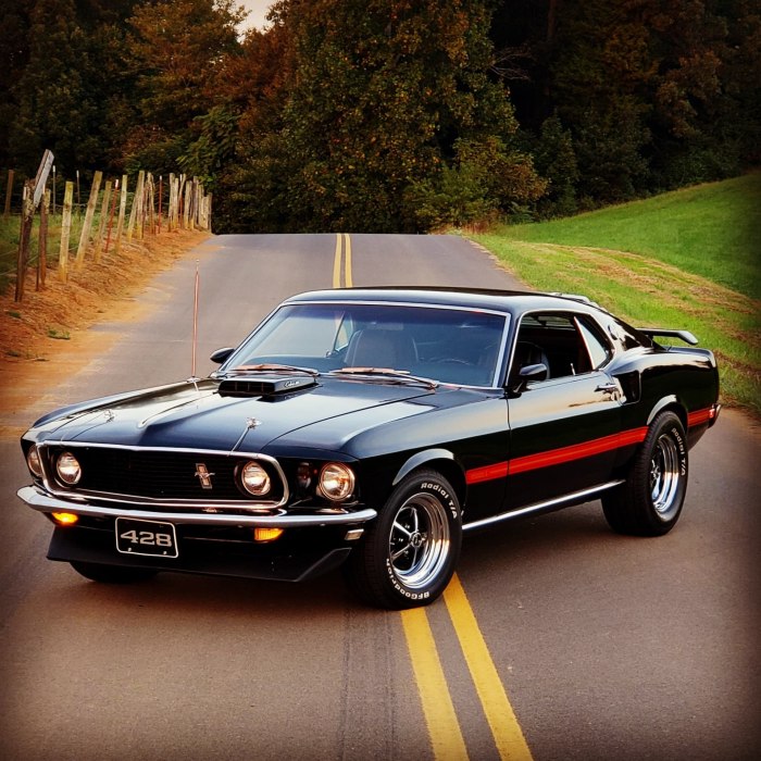 Форд Мустанг Shelby 1969