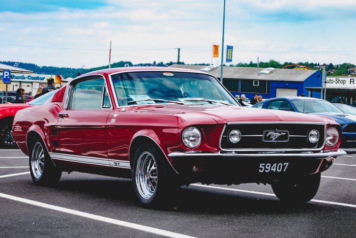 Ford Mustang 65
