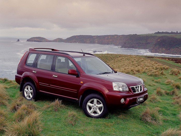 Nissan x Trail t30 2006