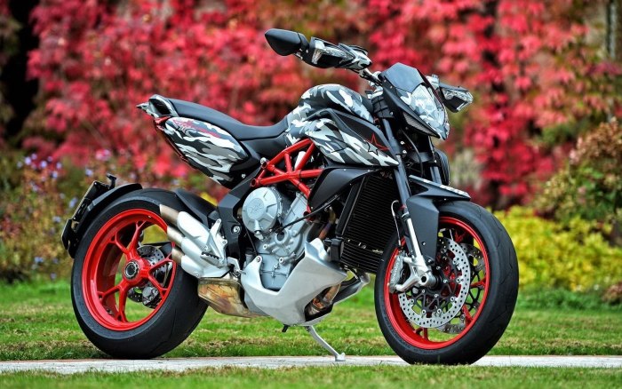 Мотоцикл MV Agusta Rivale