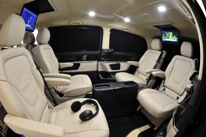 Mercedes-Benz v-class v 250