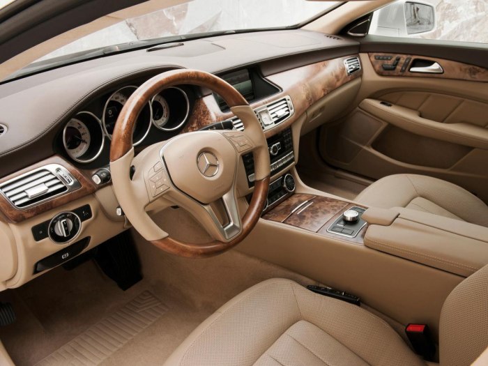 Mercedes Benz CLS 250