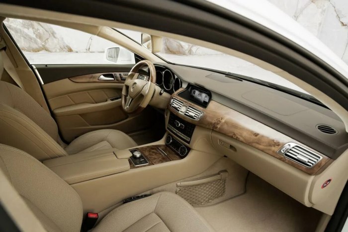 Mercedes Benz CLS 250