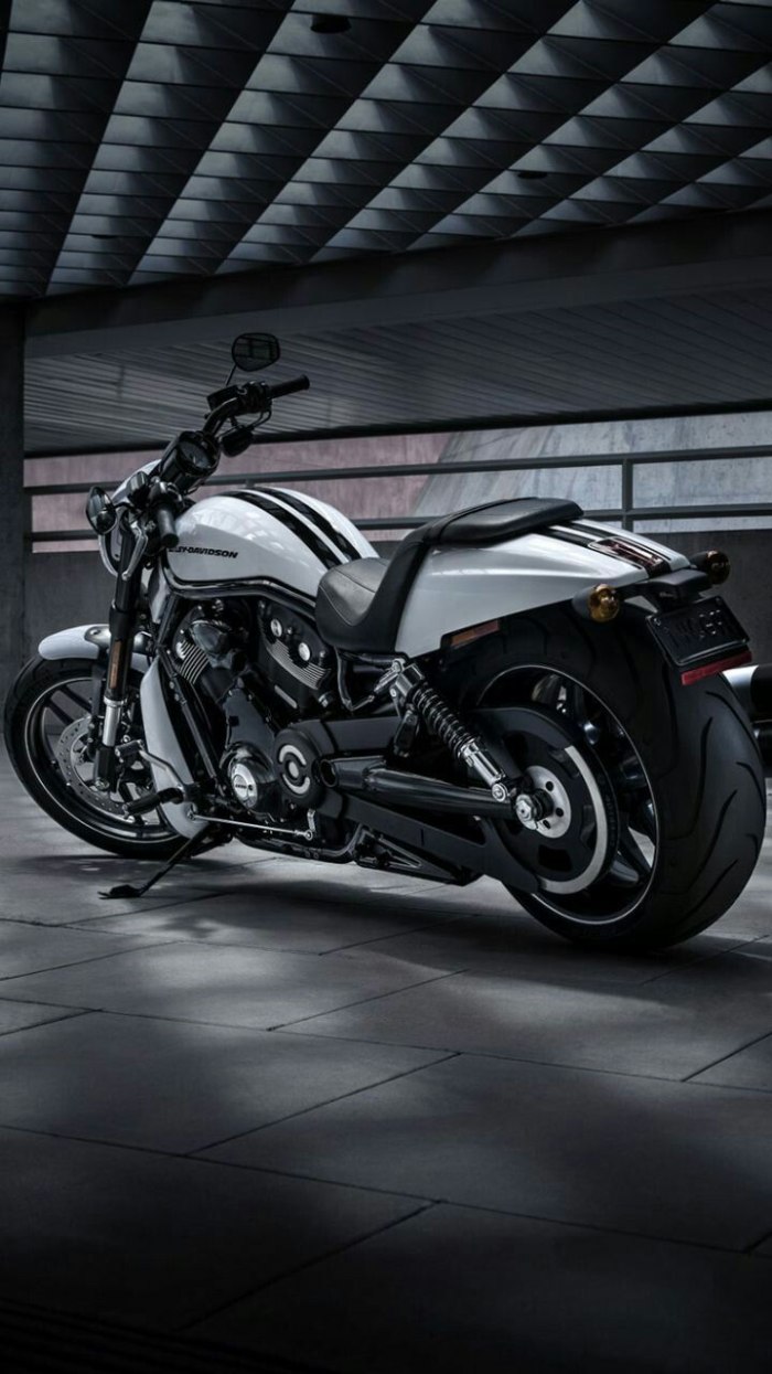Harley Davidson v Rod