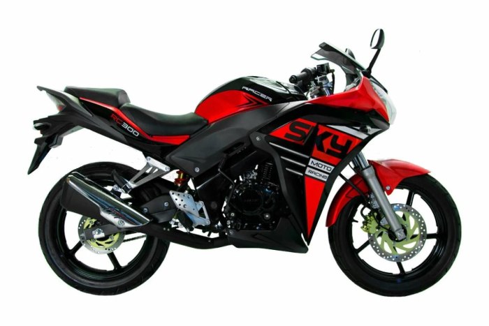Мотоцикл Racer SKYWAY 300