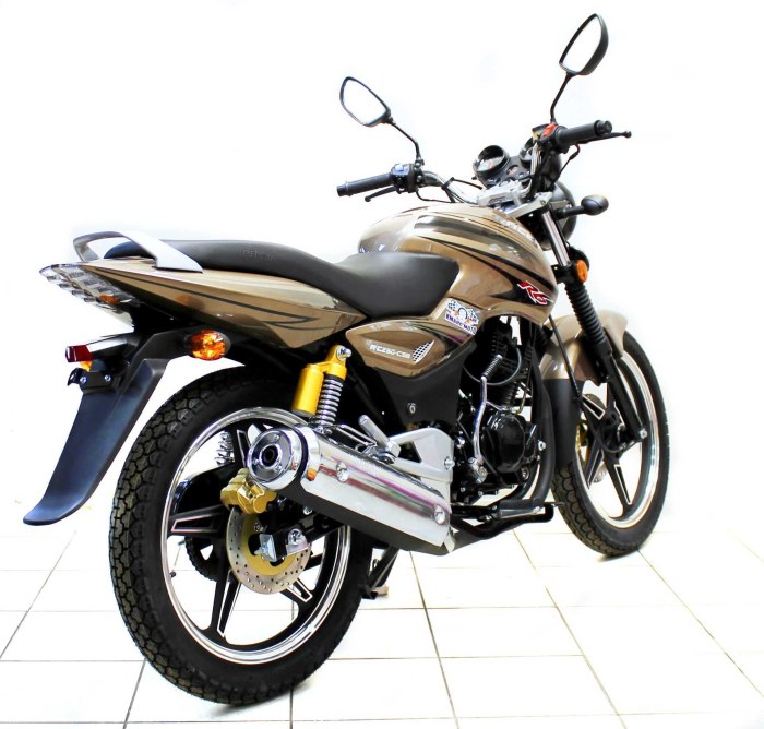 Мотоцикл Racer 250 Magnum