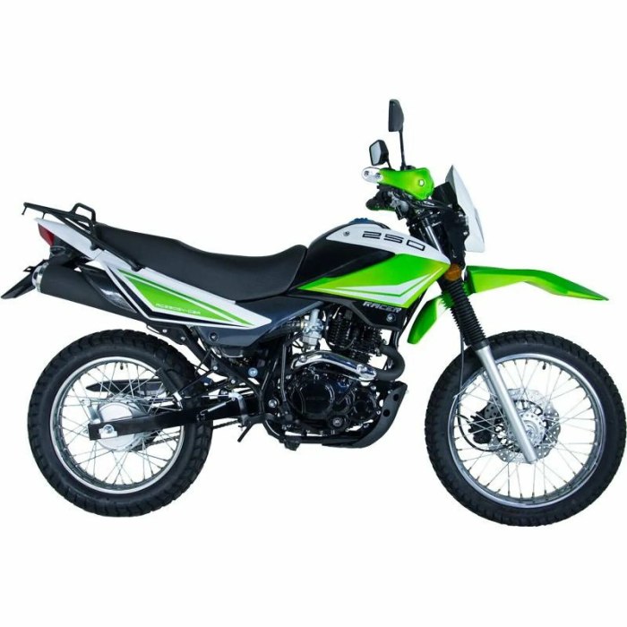 Racer Panther Lite rc250gy-c2a