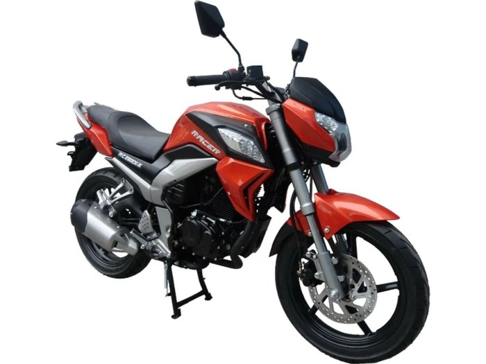 Racer Fighter rc250