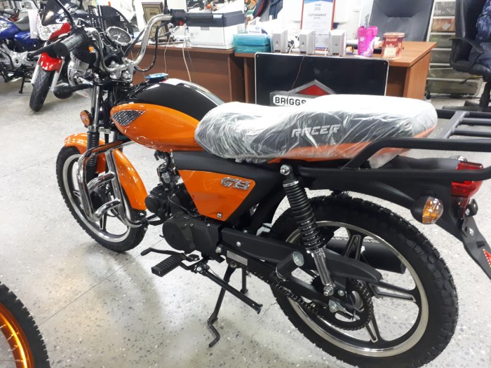 Альфа GS 110 кубов