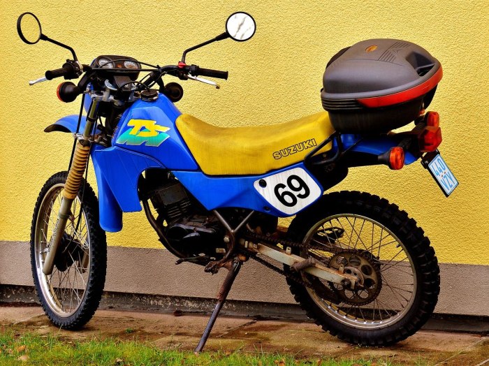Suzuki TS 50 ЦПГ