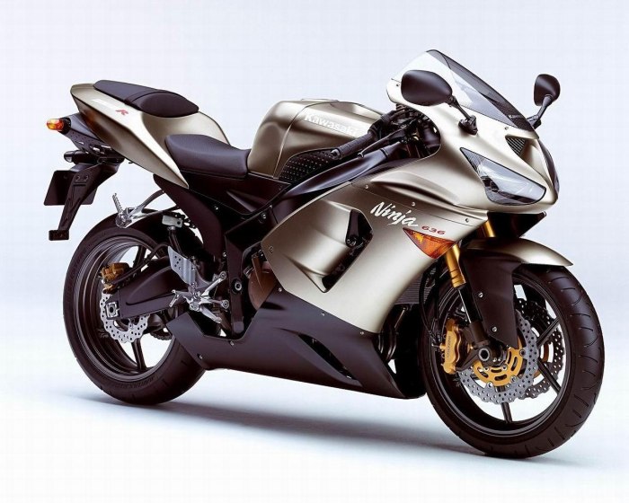 Kawasaki Ninja ZX-6r