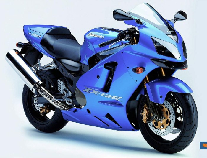 Kawasaki Ninja ZX-12r