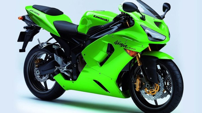 Кавасаки ниндзя 600 ZX-6r