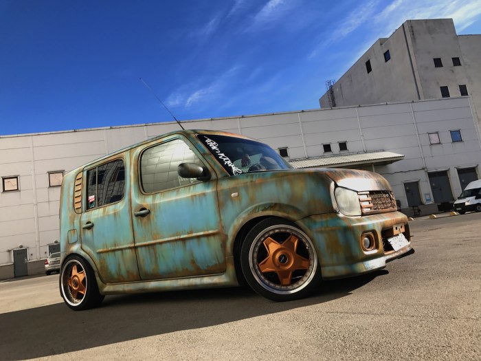 Nissan Cube стенс