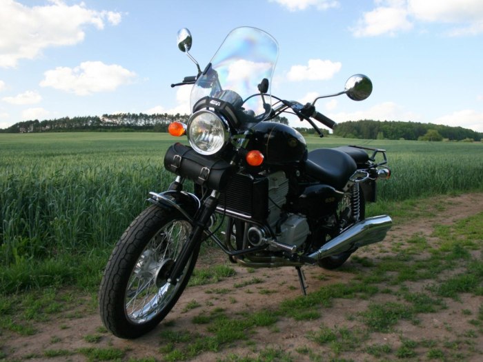 Ява Бизон 350