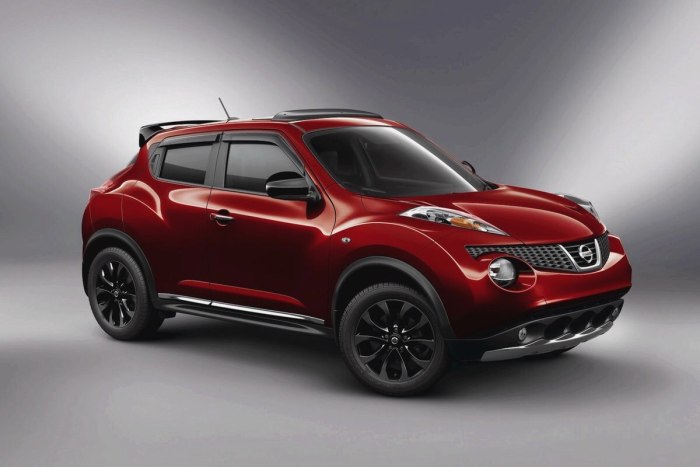 Nissan Juke 2013