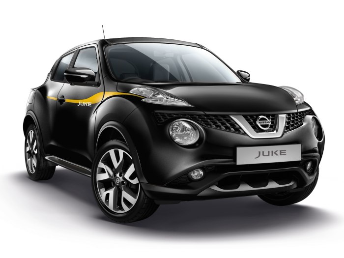 Nissan Juke 2005