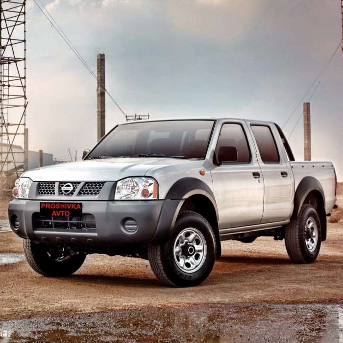 Nissan np300