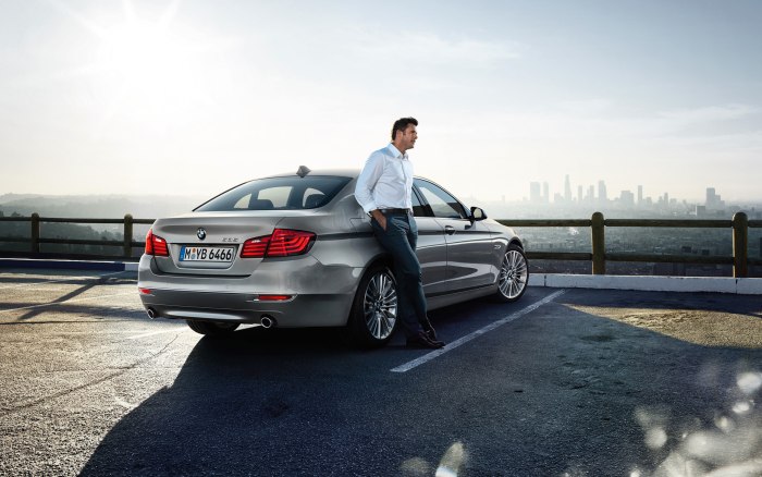 BMW f10 Business