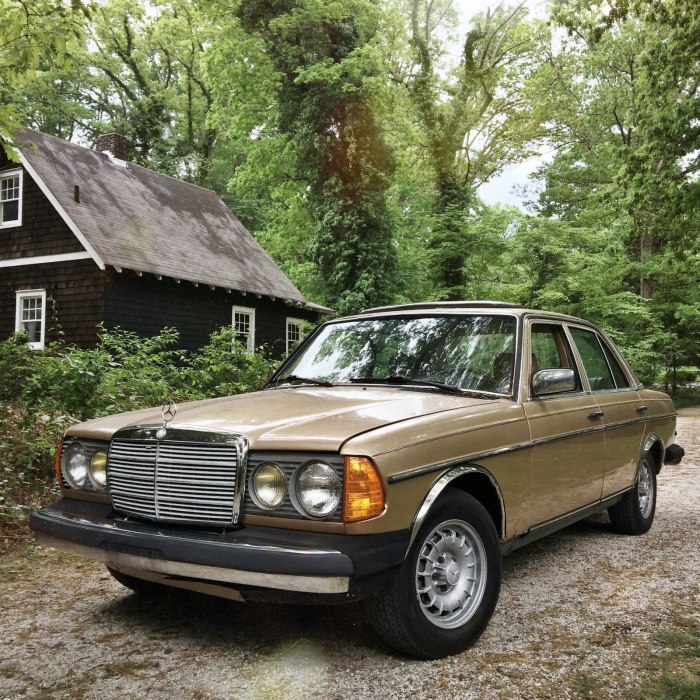 Mercedes Benz 300d