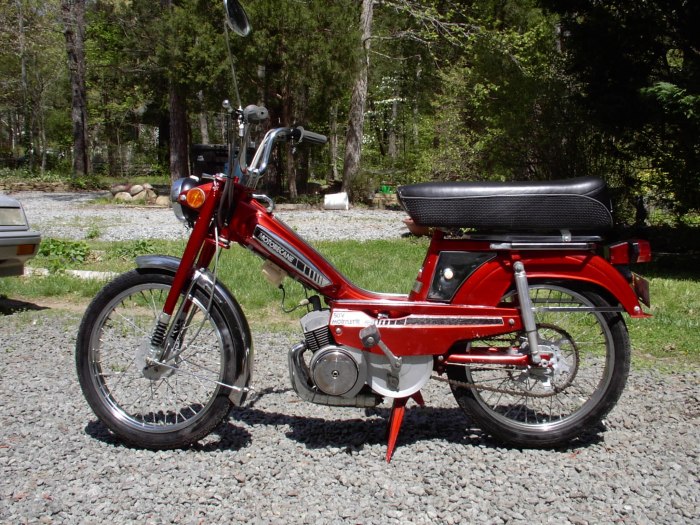 Мопед Pegas 110