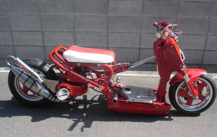 Honda Ruckus Custom zoomer