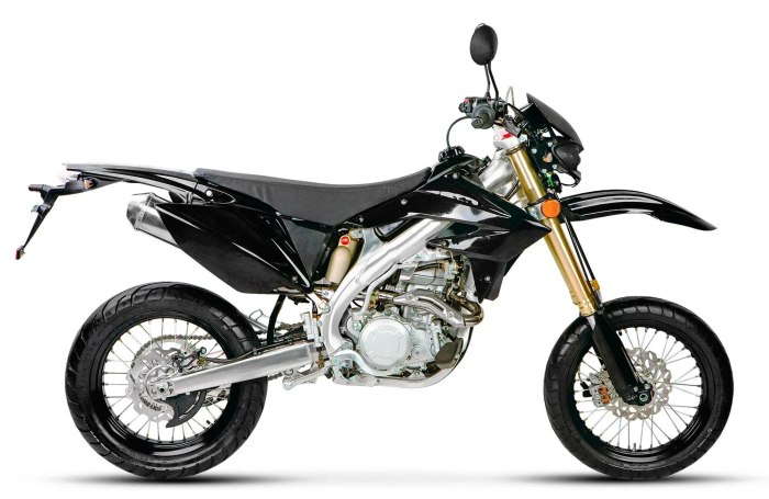 Stels Forsage 450 motard
